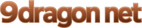 9dragon net logo